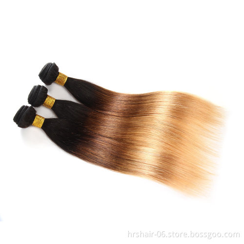 Ombre Brazilian Straight Hair Ombre Bundles With Closure, 3 Ombre Hair Bundles With Lace Closure T1b/4/27
